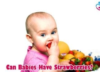 Can Babies Have Blueberries? 2