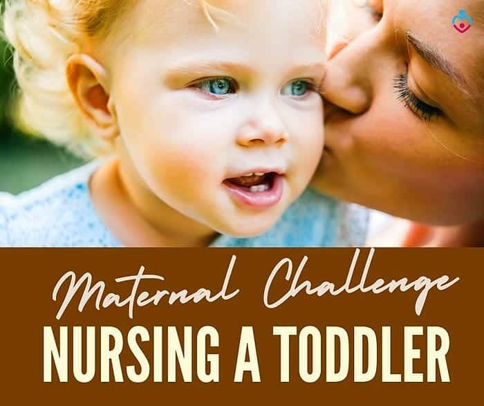 Nursing A Toddler (Maternal Lactation Problem)