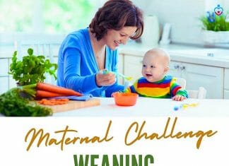 Weaning (Maternal Challenge)