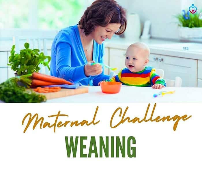 Weaning Process (Maternal Challenge)