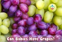 Can Babies Have Grapes?