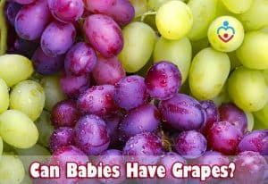 Can Babies Have Grapes?