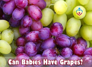 Can Babies Have Grapes?