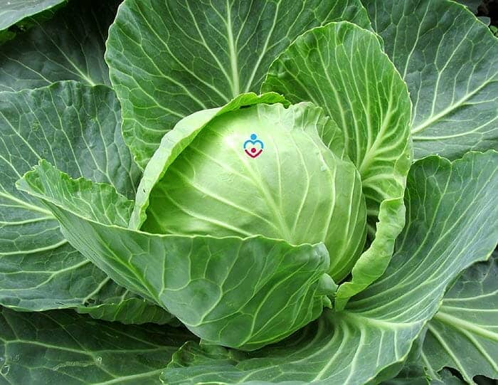 How To Use Cabbage To Dry Up Breast Milk?