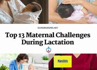 Maternal Challenges During Lactation