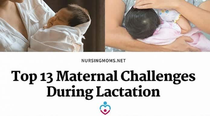 Maternal Challenges During Lactation