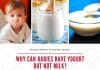Why Can Babies Have Yogurt But Not Milk?