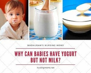 Why Can Babies Have Yogurt But Not Milk?