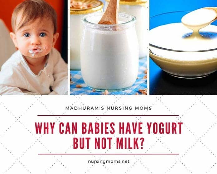 why-can-babies-have-yogurt-but-not-milk-nursing-moms