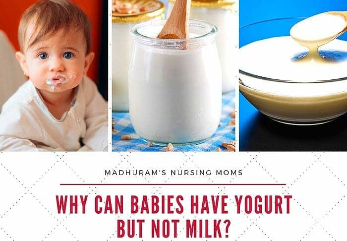 Can Babies Have Garlic Nursing Moms can-babies-have-garlic-nursing-moms