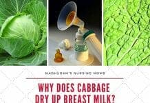 Why Does Cabbage Dry Up Breast Milk?
