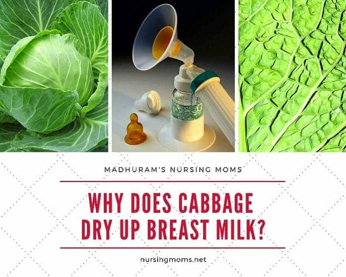 Why Does Cabbage Dry Up Breast Milk?