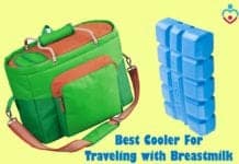 Best cooler for traveling with breastmilk