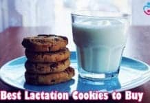 Best Lactation Cookies To Buy