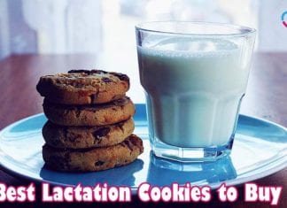 Best Lactation Cookies To Buy