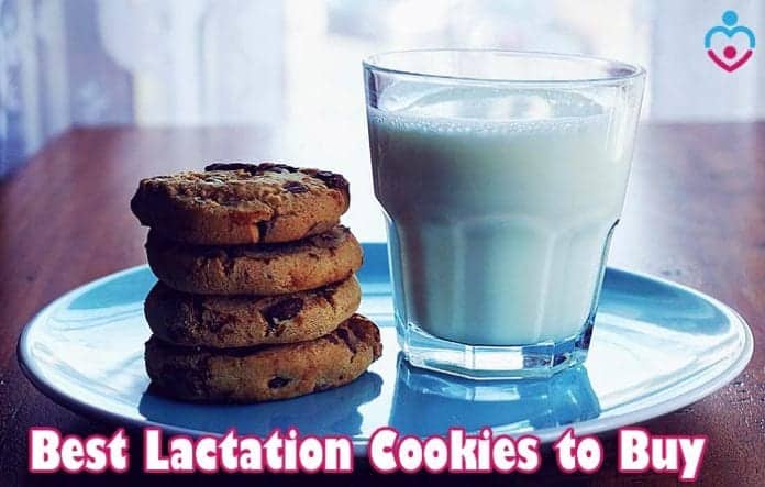 Best Lactation Cookies To Buy