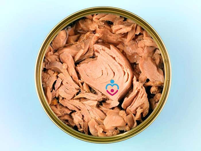 Can Babies Eat Canned Tuna