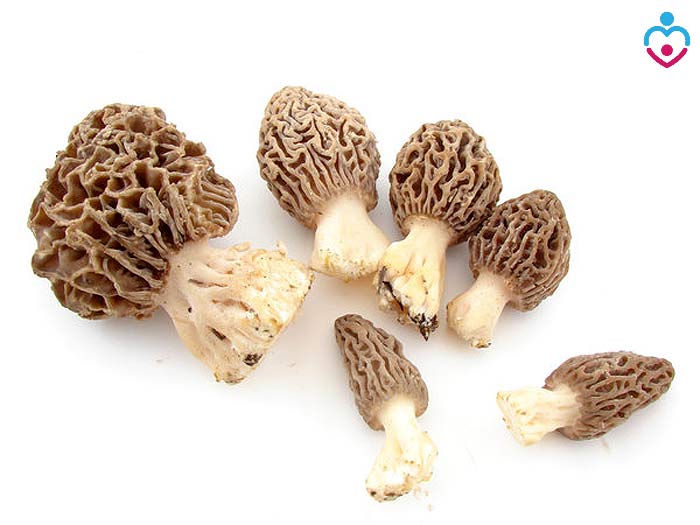 Can Babies Eat Morel Mushrooms?