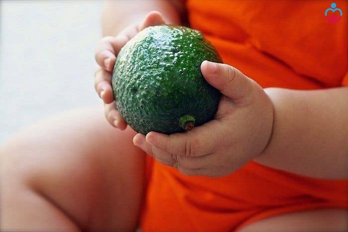 Can Babies Have Avocado?