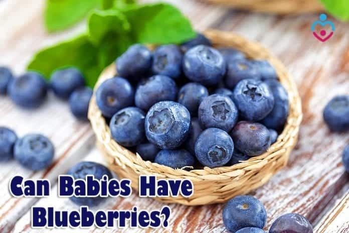 Can Babies Have Blueberries?