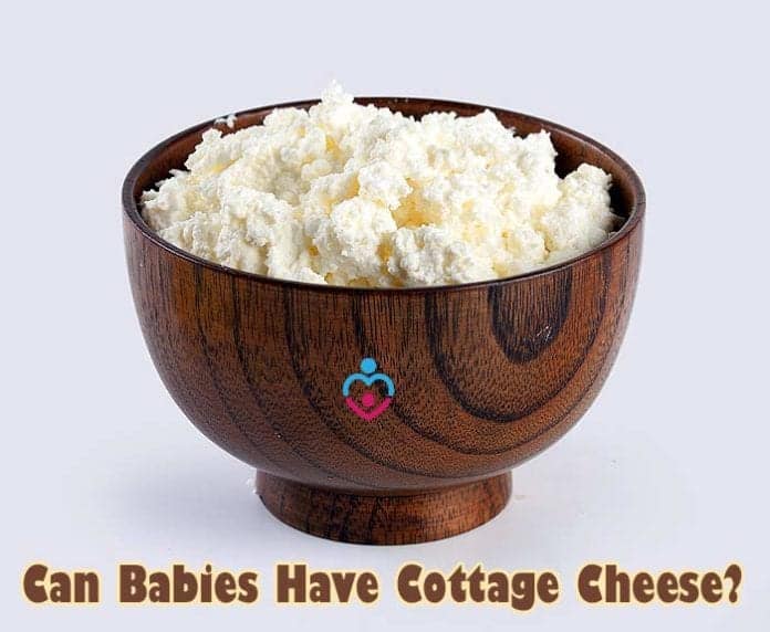 Can Babies Have Cottage Cheese?