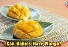 Can Babies Have Mango?