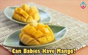 Can Babies Have Mango?