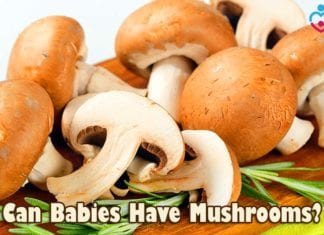 Can Babies Have Mushrooms?