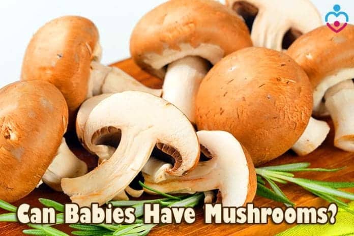 Can Babies Have Mushrooms?