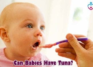 Can Babies Have Tuna?