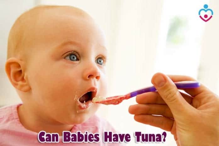 Can Babies Have Tuna?