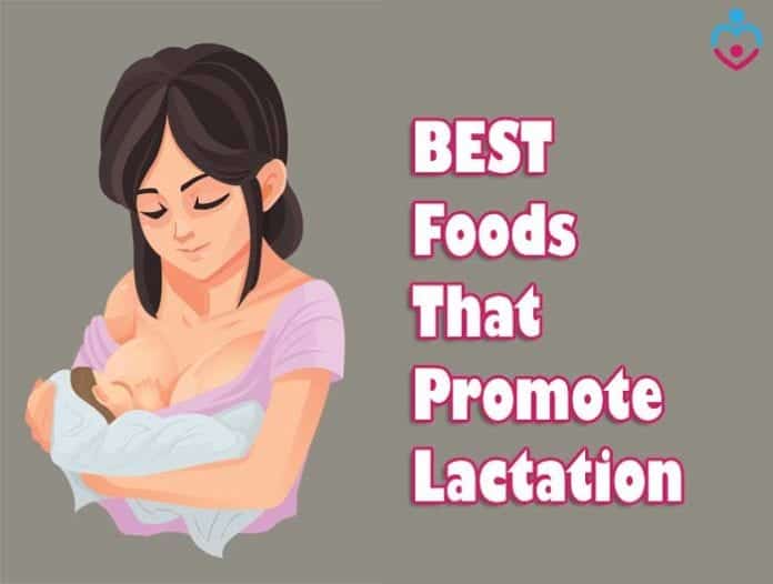 Foods that promote lactation