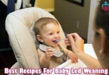 Recipes for baby led weaning