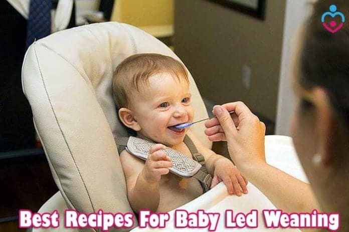 Recipes for baby led weaning